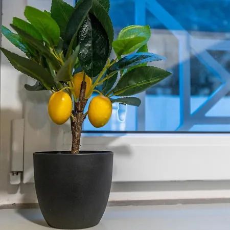 Silva Appartement Lissabon